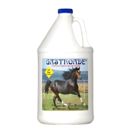Gastroade 1 galon