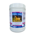 SU-PER DMG 3000