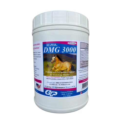 SU-PER DMG 3000